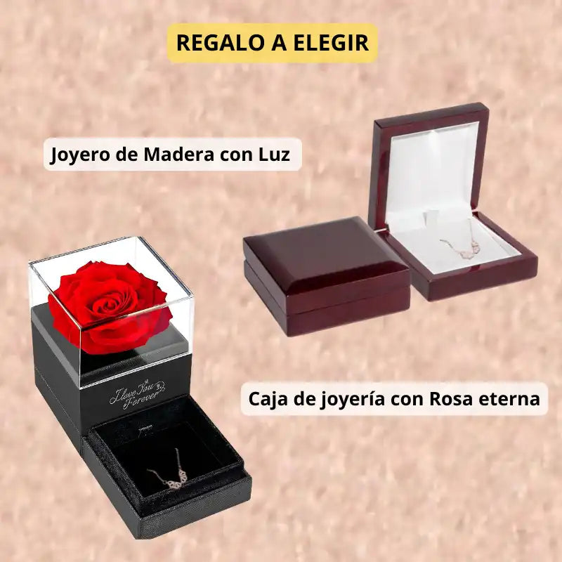 🍀 OFERTA especial: Llévate 2 Collares Trébol Amor & Fortuna infinita + 1 Joyero GRATIS 🍀