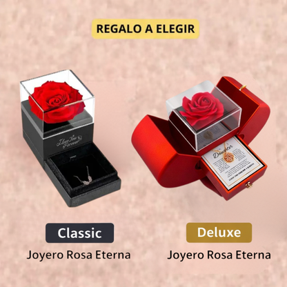 🍀 OFERTA especial: Llévate 2 Collares Trébol Amor & Fortuna infinita + 1 Joyero GRATIS 🍀